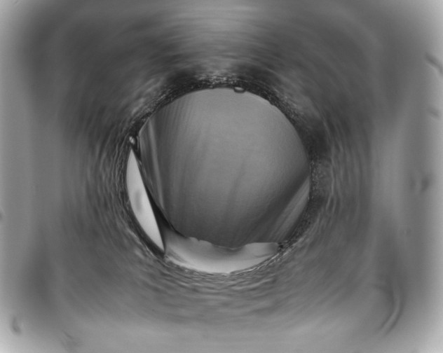 X0000096980039200802221444