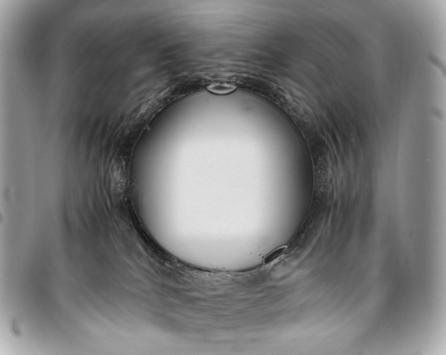 X0000096980040200802221444