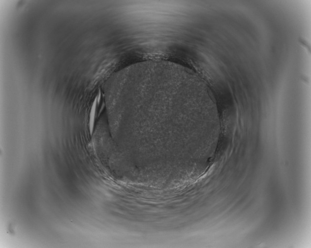 X0000096980041200802221444