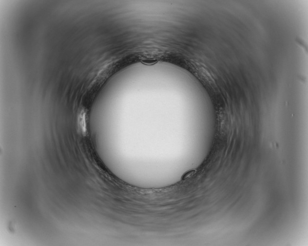 X0000096980042200802221444