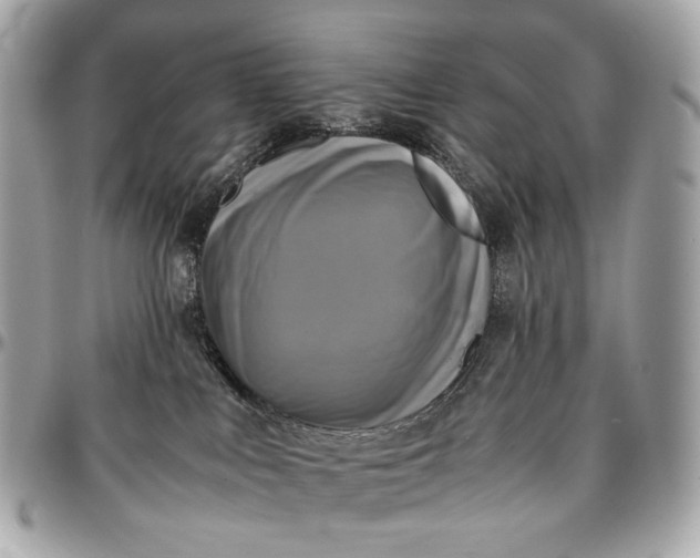 X0000096980043200802221444