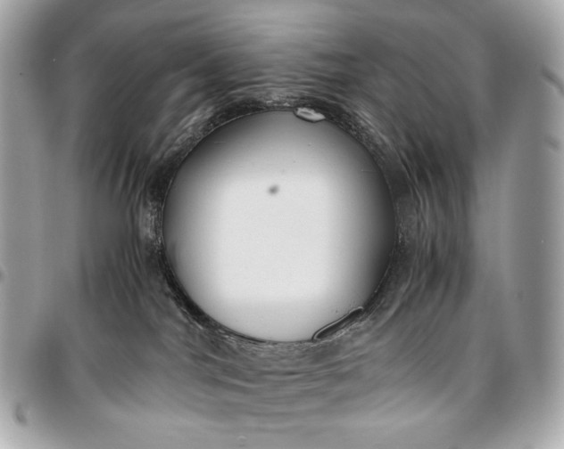 X0000096980044200802221444