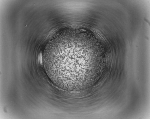 X0000096980046200802221444