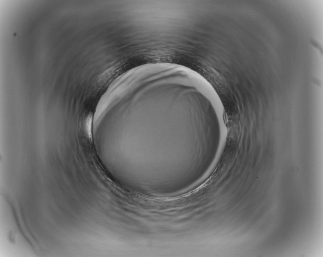 X0000096980047200802221444