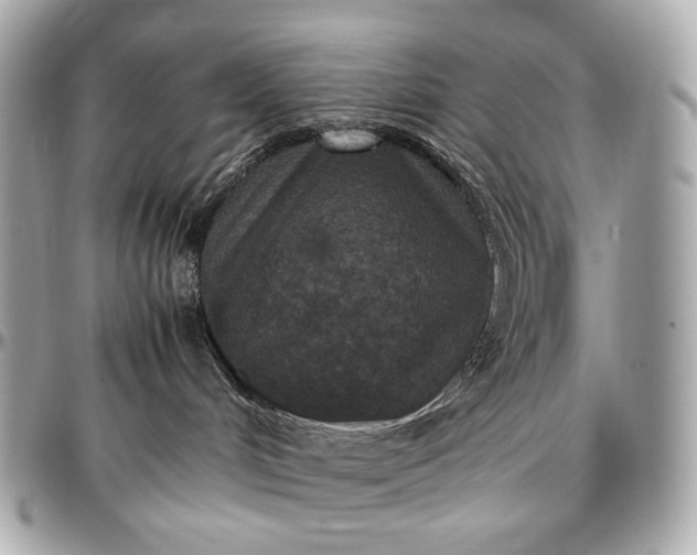 X0000096980048200802221444