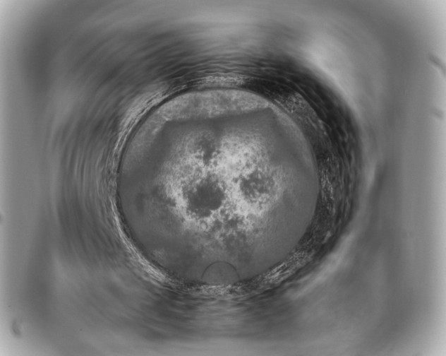 X0000096980049200802221443