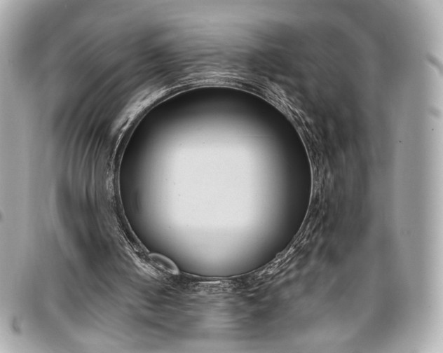 X0000096980050200802221443