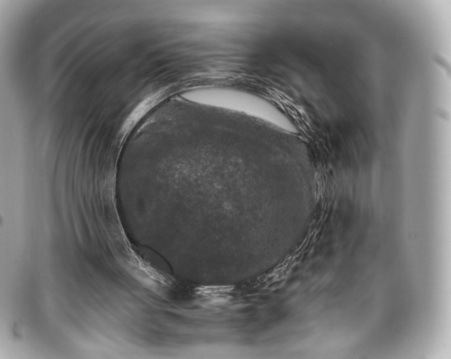 X0000096980051200802221443