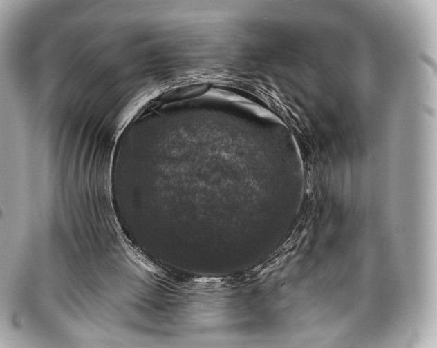 X0000096980052200802221443