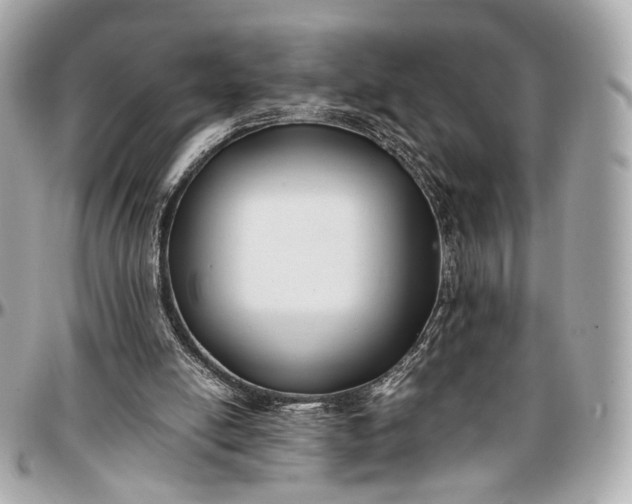 X0000096980054200802221443