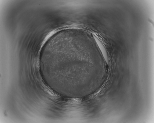 X0000096980056200802221443