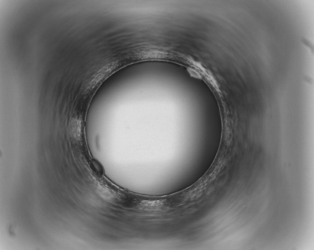 X0000096980057200802221443