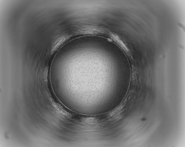 X0000096980058200802221443