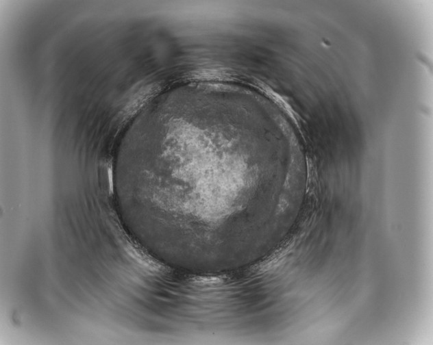 X0000096980061200802221443