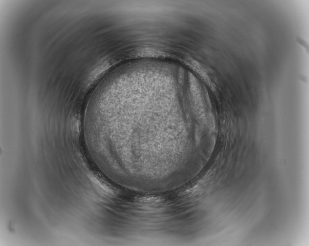 X0000096980063200802221443