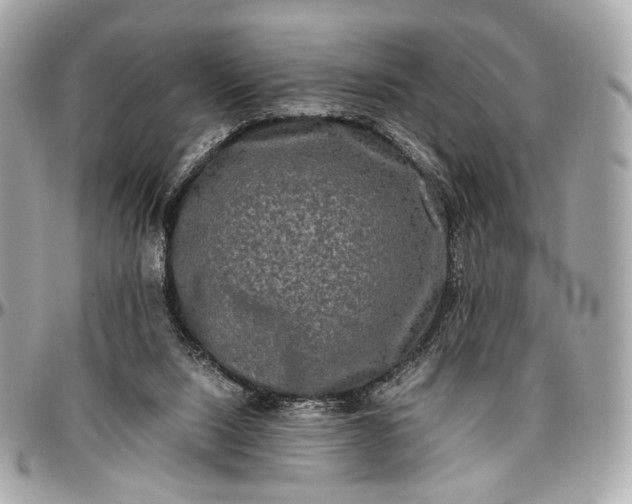 X0000096980064200802221443