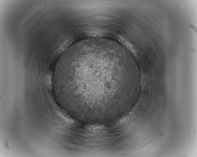 X0000096980065200802221443