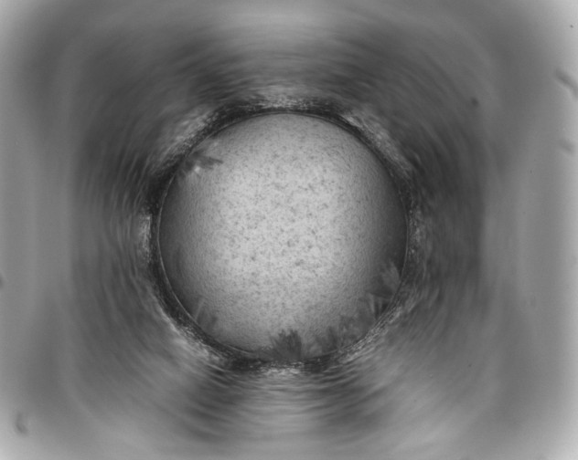 X0000096980066200802221443