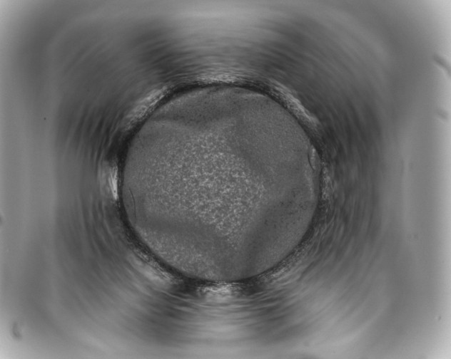 X0000096980068200802221443