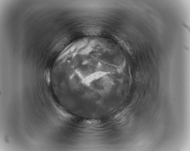 X0000096980069200802221443