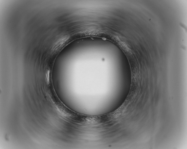 X0000096980070200802221443