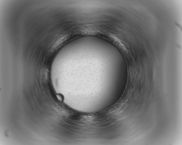 X0000096980071200802221443