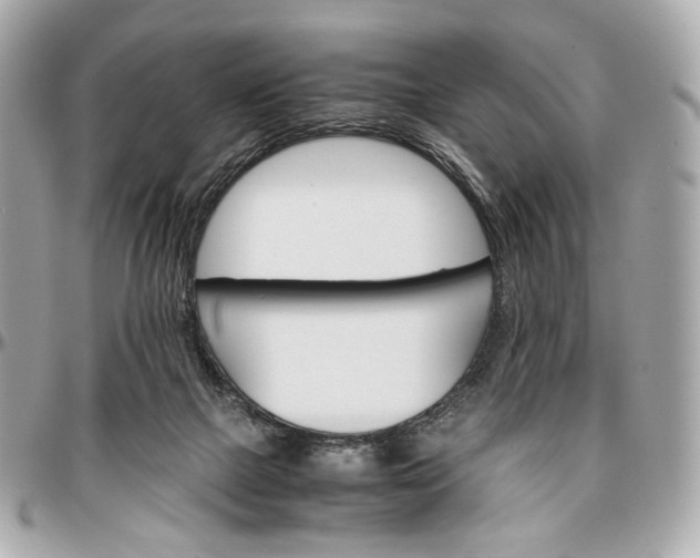 X0000096980073200802221444