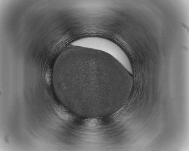 X0000096980074200802221444