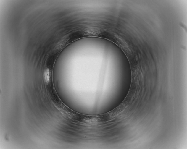 X0000096980075200802221444