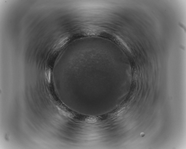 X0000096980076200802221444