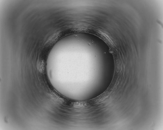 X0000096980077200802221444