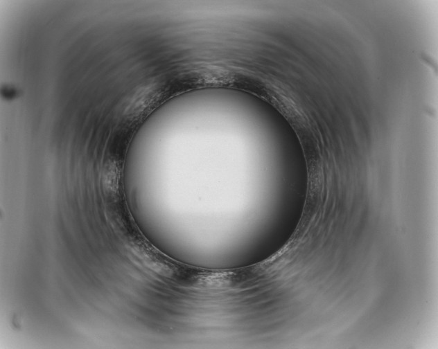 X0000096980078200802221444