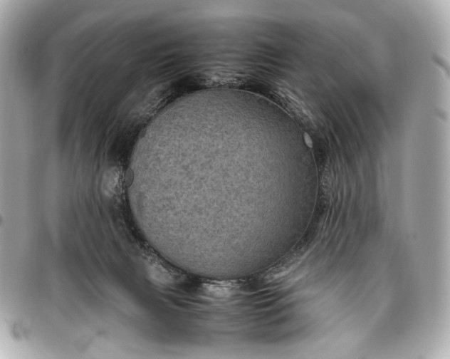 X0000096980079200802221444