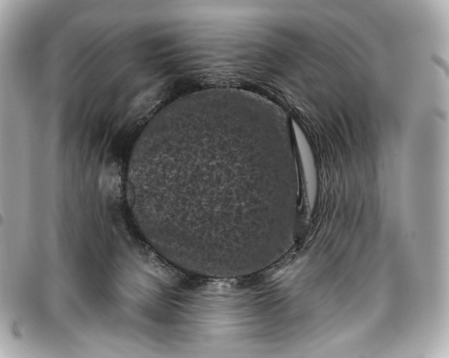 X0000096980080200802221444