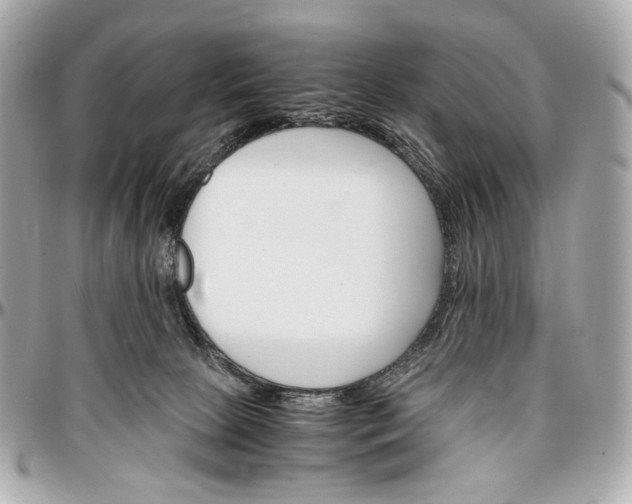 X0000096980081200802221444