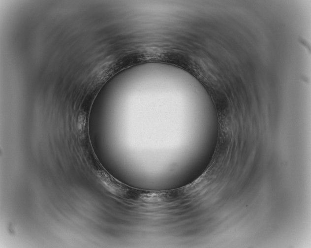 X0000096980082200802221444