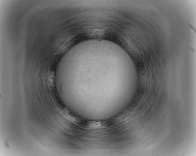 X0000096980083200802221444