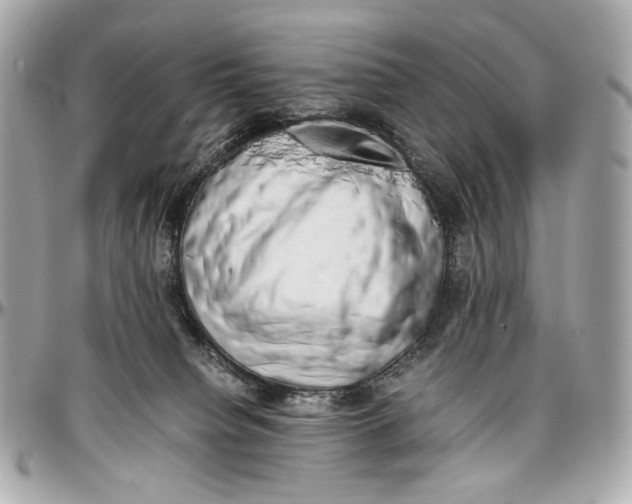 X0000096980084200802221444