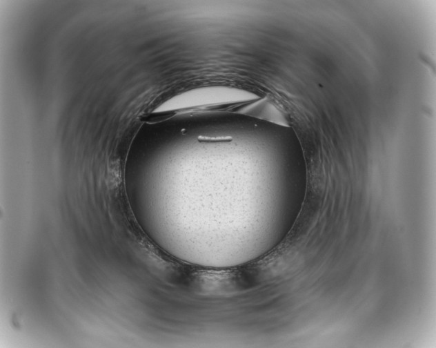 X0000096980085200802221444