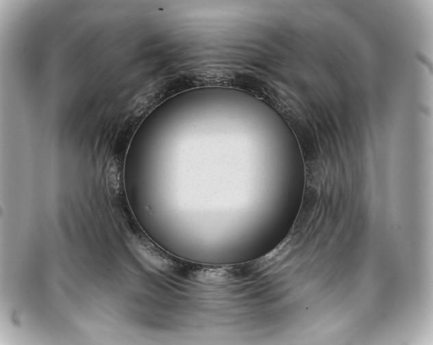 X0000096980086200802221444