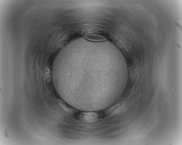 X0000096980087200802221444