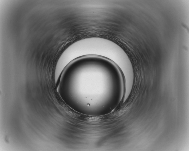 X0000096980088200802221444