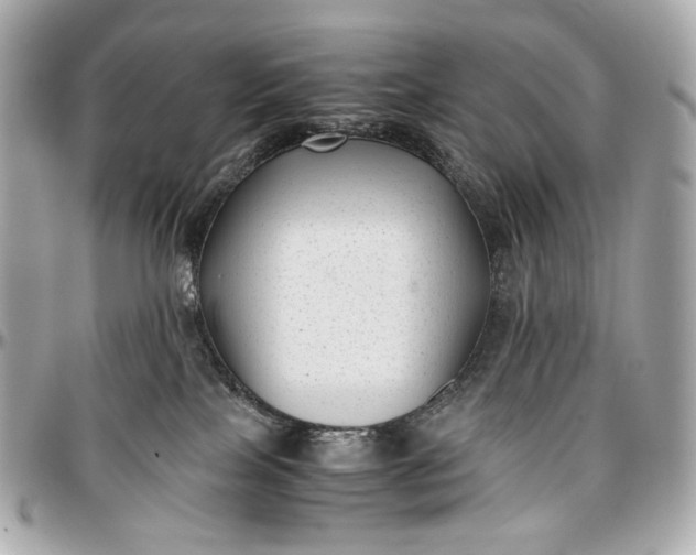 X0000096980089200802221444