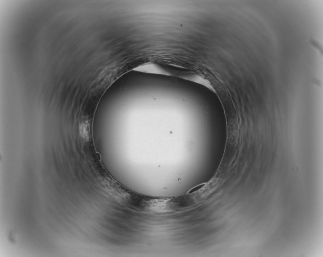 X0000096980090200802221444