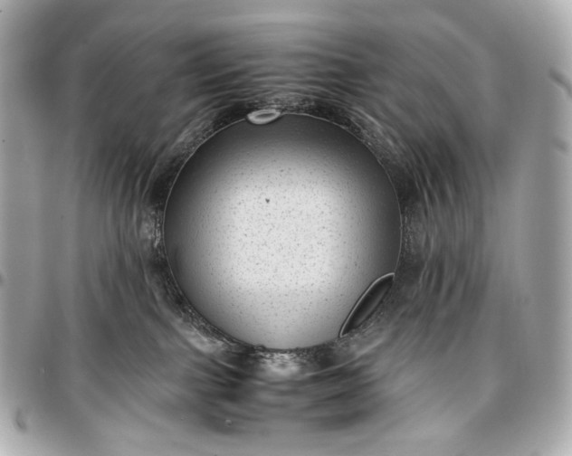 X0000096980091200802221444