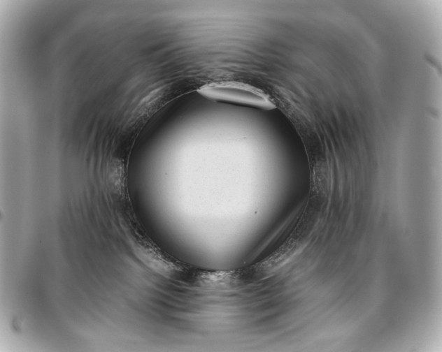 X0000096980092200802221444