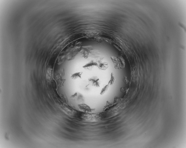 X0000096980093200802221444