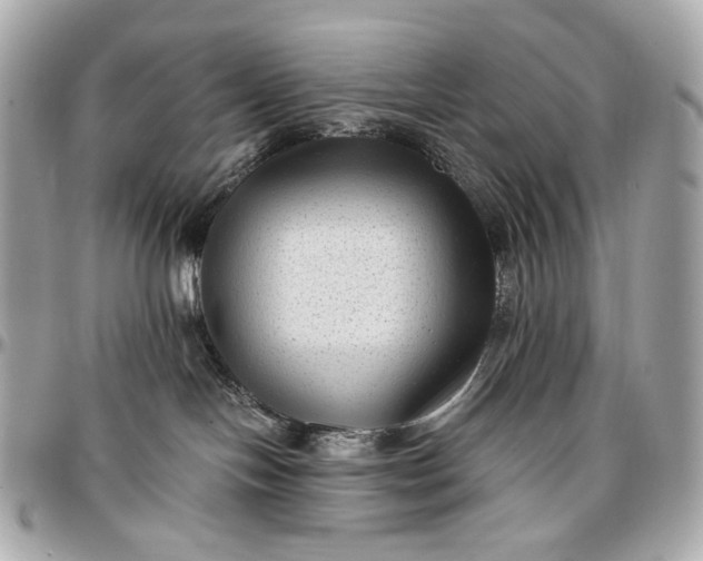 X0000096980094200802221444