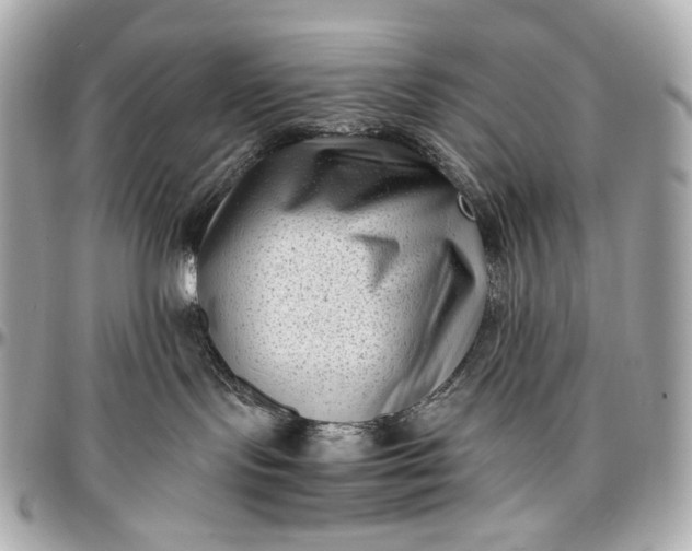 X0000096980095200802221444