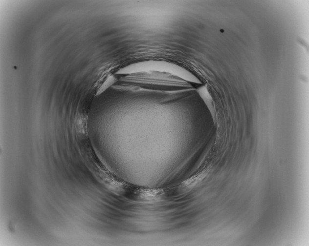 X0000096980096200802221444